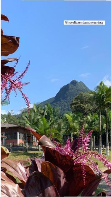 Hotel Fazenda Monte Crista Rio Bonito  Екстериор снимка